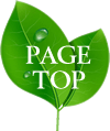 PAGETOP